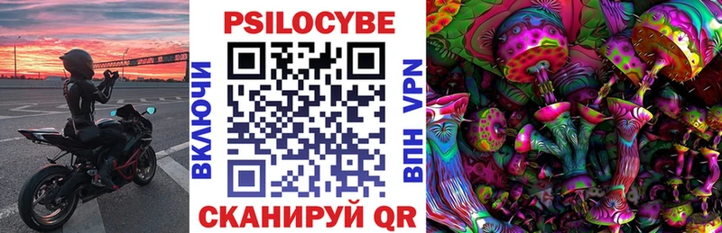 где купить наркоту  Советск  Псилоцибиновые грибы Cubensis 