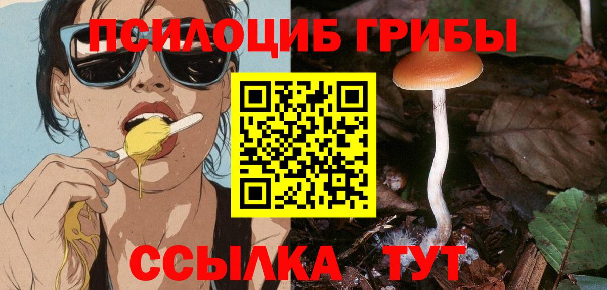 Галлюциногенные грибы ЛСД  где найти наркотики  Советск  Вход с VPN 